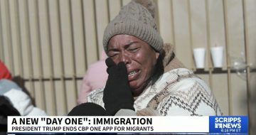 Get Ready For The ‘Immigration Injustice Porn’