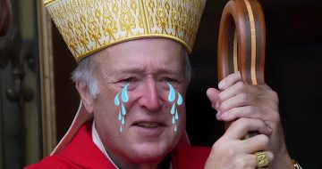 Cardinal McElroy Decries White House 'War of Fear and Terror' on Migrants