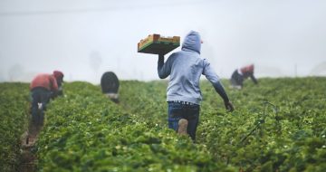 88% of All U.S. Job Growth Went to Immigrants, Vast Majority Here Illegally