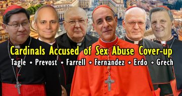Six Cardinals Accused Of Sexual Abuse Cover-Up