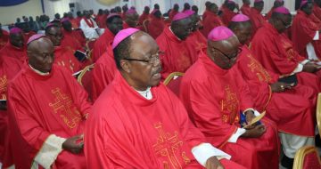 African Bishops Don’t Want A Pope Like Francis; We Want A Pope Like Christ