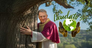 USCCB Publishes 25-Page Document Boasting About Their Laudato Si’ Activities