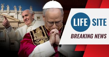 WATCH: Pope Leo CORRECTS the Record on Cohabitation & Marriage