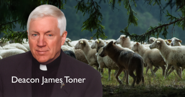False Prophets and False Shepherds