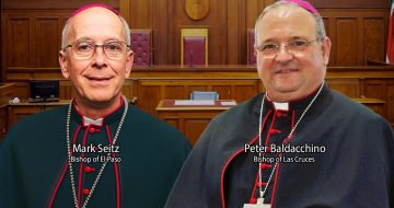 New Lawsuits Allege Systemic Abuse and Concealment by Dioceses of Las Cruces and El Paso