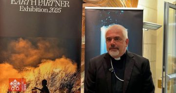Cardinal Launches Earth Partner Exhibit for Pope Leo's Pet Project
