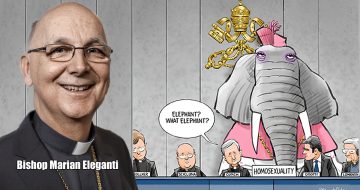 Bishop Eleganti: Homosexuality in the Clergy