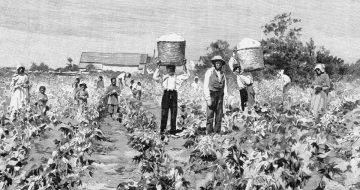 Dilexi Te: Treating the Poor As Slaves