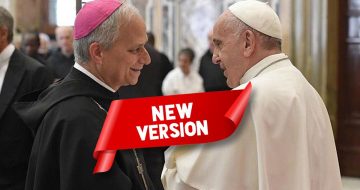 Leo XIV: The Francis Program, Rebranded
