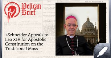 Bishop Schneider Appeals to Pope Leo XIV for Apostolic Constitution on the Traditional Mass