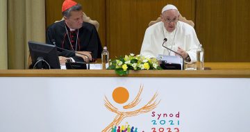 The ‘Synodal’ Revolution: From Divine Hierarchy to Human Democracy