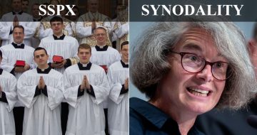 Two Competing Visions of the Priesthood