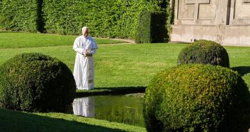One Year In, Pope Leo Forges Ahead With Francis' Ecological Obsession