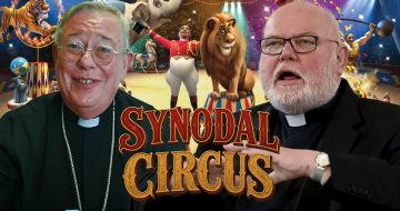 Cardinals Praise ‘Irreversible’ Synodality And ‘Healing’ Nature Of Church Decline