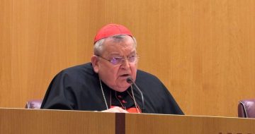 Cardinal Burke Defends Title ‘Co-Redemptrix’ For The Virgin Mary